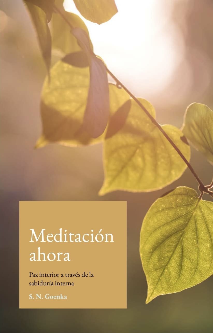 Meditación Ahora